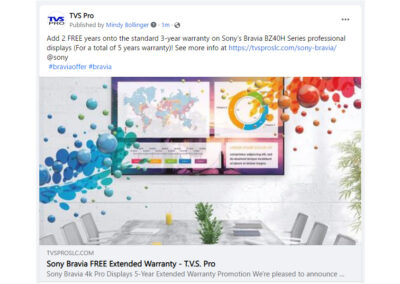 Organic/Paid Full Campaign